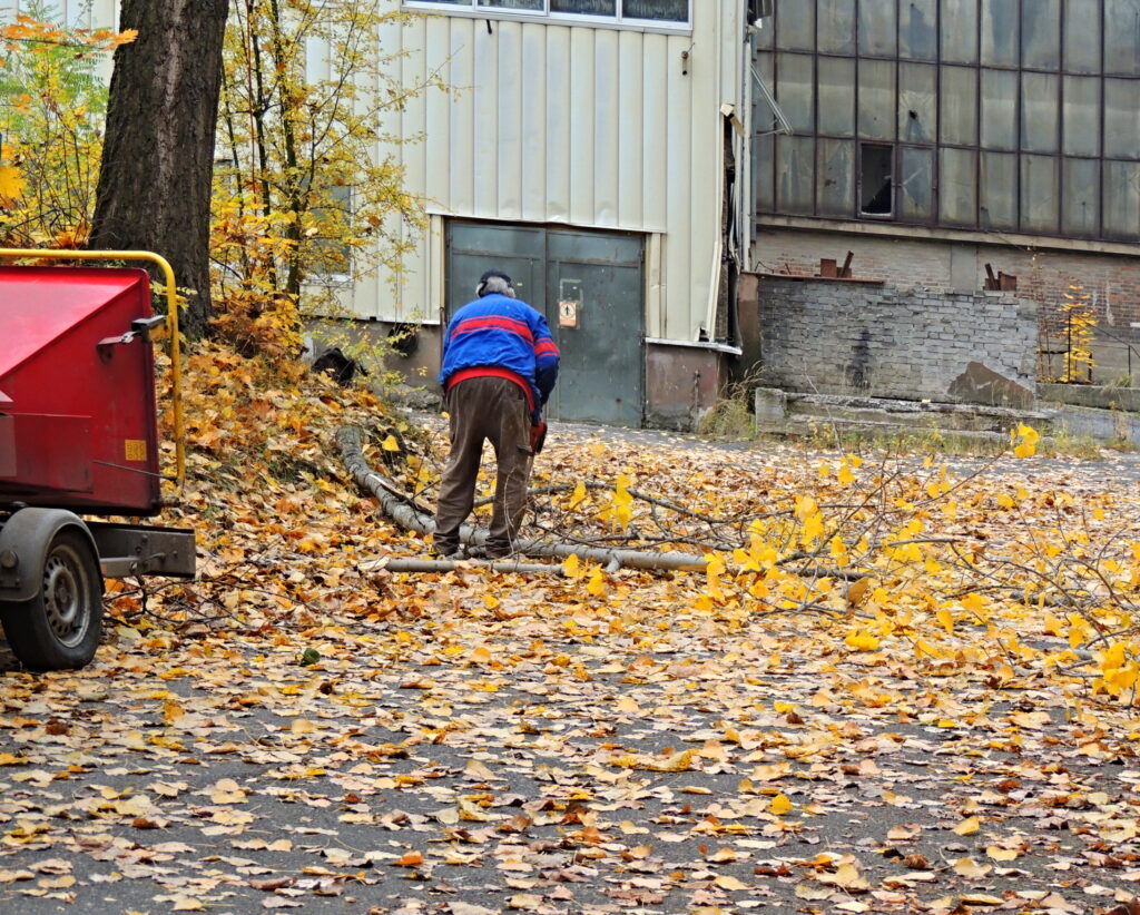 Kácení, č. 03