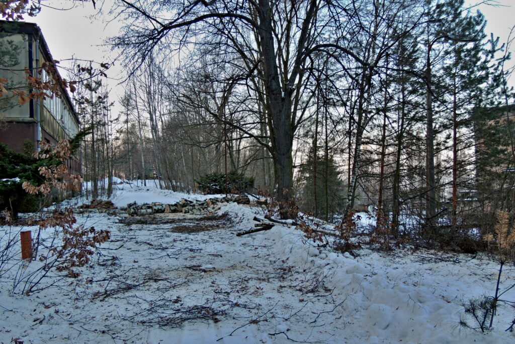 Kácení, č. 33